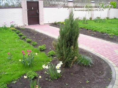 Изображение прекрасной клумбы во дворе частного дома