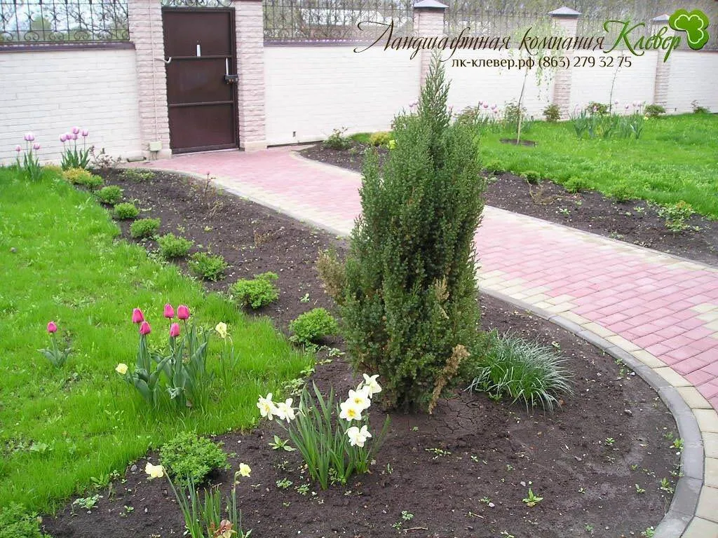 Изображение прекрасной клумбы во дворе частного дома Изображение прекрасной клумбы во дворе частного дома