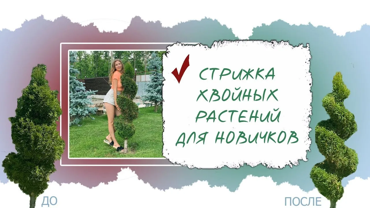 Изображение ландшафта, который подойдет для дома в средиземноморском стиле. Изображение ландшафта, который подойдет для дома в средиземноморском стиле.