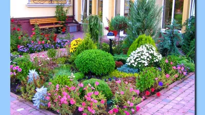 Красивые фотографии палисадника для вдохновения