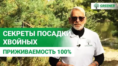 Палисадник перед домом: романтика в каждом уголке