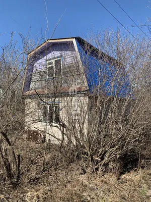 Фото дизайна спортзала в доме
