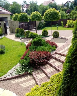 Прекрасный дизайн участка перед домом на фотографии