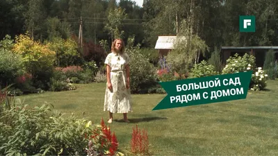 Картинка участка перед домом с использованием водных элементов