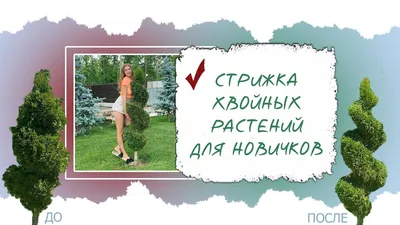Фотографии участка с использованием декоративных заборов и ограждений