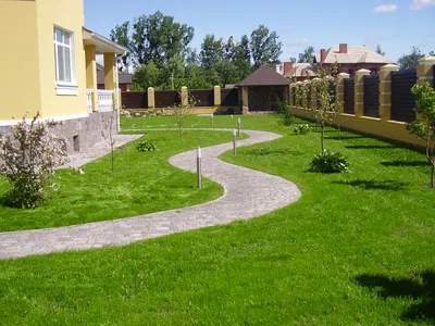 Картинка участка с деревьями и цветами