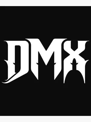 DMX was talented and imperfect, an antihero and an icon. He was one of us.