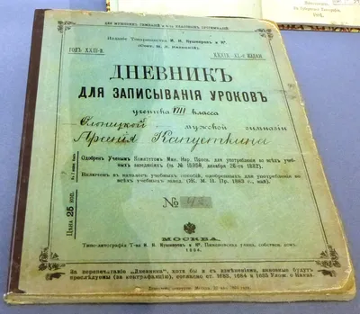 Дневник школьный 1-4 классы, \"ВЕСЁЛЫЙ ЁЖИК\", 80 листов, твердая обложка,  твердый переплет - купить с доставкой по выгодным ценам в интернет-магазине  OZON (281188205)