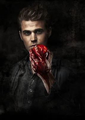 Фотокартина GeekLand The Vampire Diaries Дневники Вампира Стефан 40х60 VD  09.034 – фото, отзывы, характеристики в интернет-магазине ROZETKA от  продавца: Heo | Купить в Украине: Киеве, Харькове, Днепре, Одессе,  Запорожье, Львове