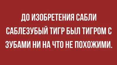 Смешные до слез: подборка забавных фото животных со всего мира: Идеи и  вдохновение в журнале Ярмарки Мастеров