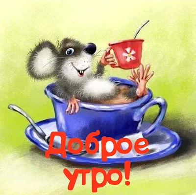 Самое доброе утречко! Плодотворного дня! 🦋🌼🦋 | TikTok