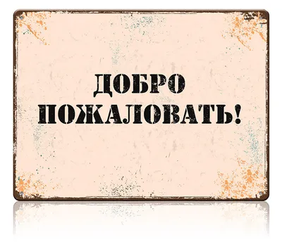 Жестяная табличка Добро пожаловать, металл, 30Х40 см, 40 см, 30 см - купить  в интернет-магазине OZON по выгодной цене (225226935)