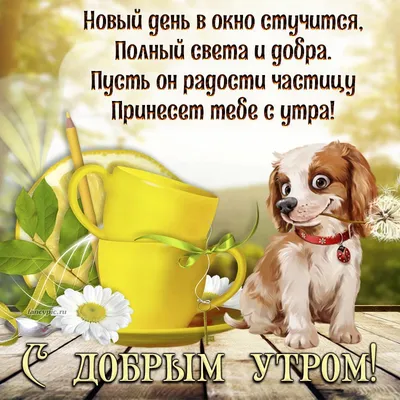 Доброе утро#Суббота#Весна#Хорошего дня#Отличного настроения# Моим друз... |  TikTok