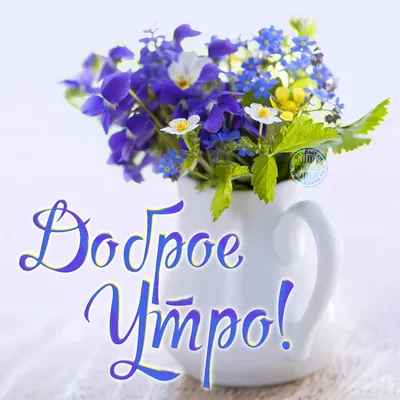 Летние открытки \"Доброго утра!\" (233 шт.)