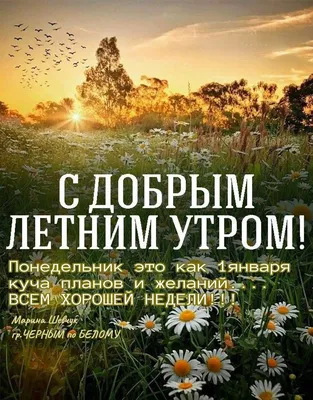 Всем доброго утра и прекрасных весенних выходных!!!☀️☕️🌸🌸🌸 | ВКонтакте