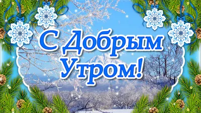 Доброе зимнее утро - новые оригинальные открытки ( 75 ФОТО) | Открытки, Доброе  утро, Пожелания ко дню рождения