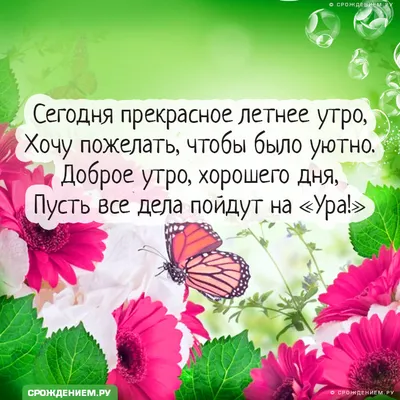 Открытки доброе летнее утро открытка с добрым летним утромдоброго летнего  утралетнее утро