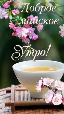 Доброе майское утро! ☕🌺🌺🌺 | Открытки, Фотогаллерея, Доброе утро