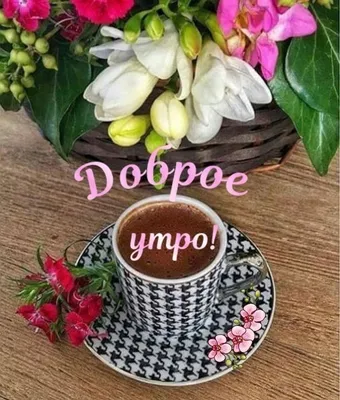 Доброе майское утро#!#Прекрасного вторника!# | TikTok