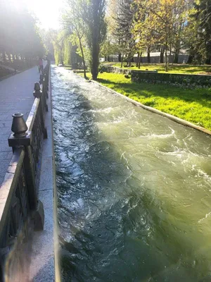 доброе весеннее утро 🌅 | TikTok