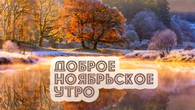 Открытки \"Доброго утра ноября!\" бесплатно (154 шт.)