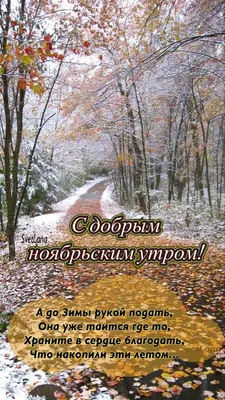 С добрым ноябрьским утром | Good morning cards, Good morning, Best