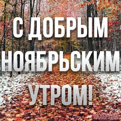 доброе ноябрьское утро! | Счастливые картинки, Доброе утро, Зима