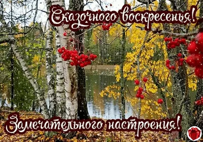 Доброе ноябрьские утро!!!!🍂🍁🌿 Хороших выходных!!!🎁🎁🎁 | Instagram