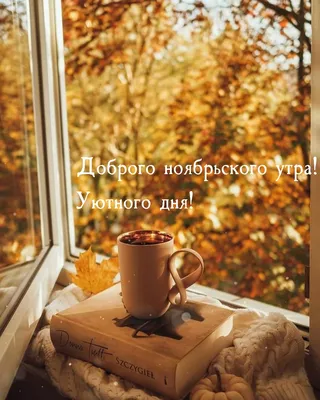 🌞☕Доброго ноябрьского утра благословенного дня!🌞Красивое музыкальное  пожелание🍁отличной недели - YouTube