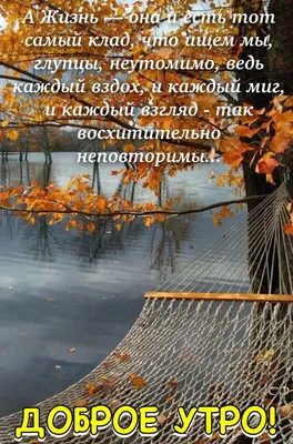 С добрым осенним утром!☕️ Отличного дня!☂️🍁 Супер Песня! Красивая  музыкальная открытка Доброе Утро! - YouTube