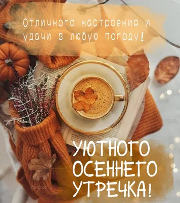 Доброе осеннее утро🍂 | Открытки Тедди | ВКонтакте