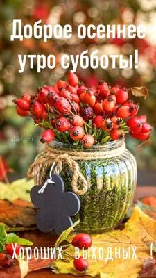 Осенние открытки \"Доброго утра!\" (437 шт.)