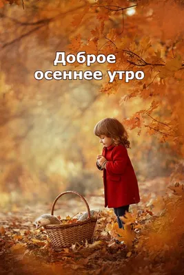 Доброе осеннее утро! ... - Удивительная природа | Facebook