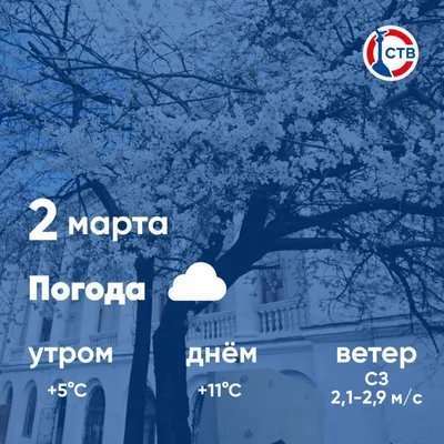 Доброе утро! Погода на 7 декабря утро – Пасмурно -8°…-6°С ветер В 4 м/с  день – Пасмурно -6°…-5°С ветер В 4 м/с вечер – Небольшой снег… | Instagram