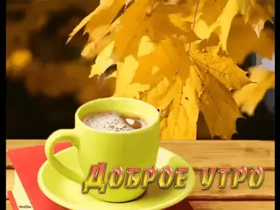 Открытка Доброе осеннее утро Четверга!