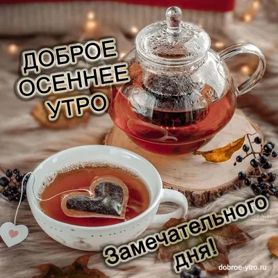 Доброе осеннее утро🍂 | Открытки Тедди | ВКонтакте