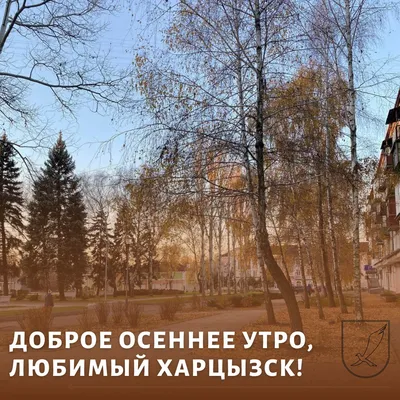 Доброе осеннее утро! 🍁🍂 Удачного всем дня! Фото @for_the_soul_7729000 |  Instagram