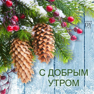 Доброе снежное утро, друзья! Хорошего вам дня и отличного настроения! |  Инцидент Барнаул | ВКонтакте