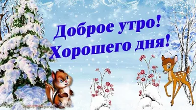 Доброе зимнее утро! | Пикабу