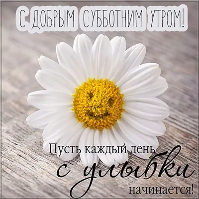 Доброго субботнего утра! #👋🤗😘💃⚘️ #доброеутречко #субботавыходной... |  TikTok