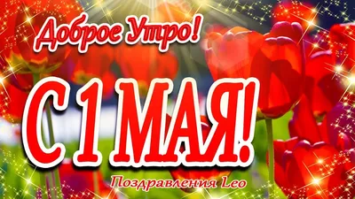 С 1 МАЯ! Доброе Утро!Счастливого Первомая! Мир! Труд! Май! — Видео |  ВКонтакте