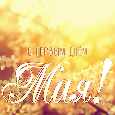 Доброе утро понедельника! 1 Мая #1мая #сдобрымутром #утродоброе #перво... |  TikTok