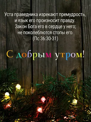 Доброе утро, друзья! Наш график в новогодние праздники: 31 декабря полный  рабочий день 1 января работаем с 13:00 Со 2-го января работаем в… |  Instagram