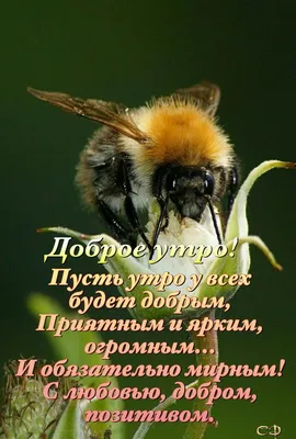 Алина Г. on X: \"Доброе утро всем! Вся мотивация помещается в нескольких  словах: “У ВАС ВСЕГО ОДНА ЖИЗНЬ.” https://t.co/LhdmEywdlw\" / X