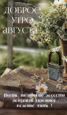 Доброе Утро Августа | TikTok