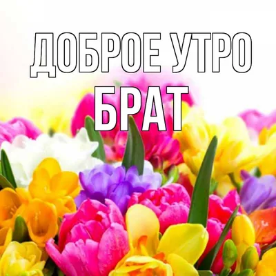 всё обо всём - - Доброе утро! - Ещё денёк, друзья – Октябрь! Уж, на пороге  - старший брат, Спешит, торопится Ноябрь, Сменить братишку очень рад! Ну,  что поделать? Да, уходит, Несётся