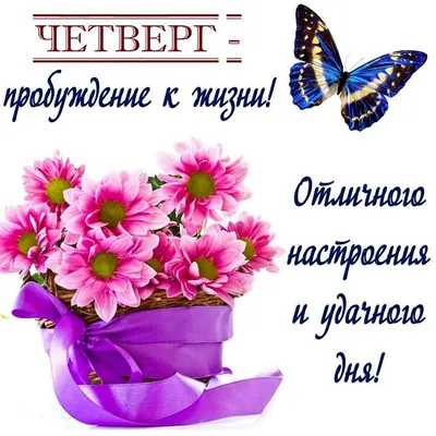 sm1rnovamari - 🌼ДОБРОЕ УТРО ЧЕТВЕРГА🌼 . Завтра уже пятница! А там и  выходной! Давай сегодня радоваться, что мы с тобой живём! .😉 #утро #четверг  #май #весна #жизнь #радость #настроение #погода #природа #смирновамарина |  Facebook