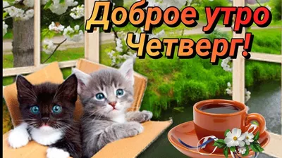 Доброе утро четверг | Доброе утро, Гвозди для работы, Милые открытки