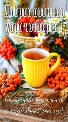 Доброе утро! Четверг. | Доброе утро, Четверг, Утро четверга