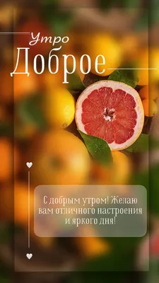 Каждое утро — это время начать жизнь снова. Доброе утро, уважаемые  подписчики! Сегодня - вторник, 12 октября.. | ВКонтакте